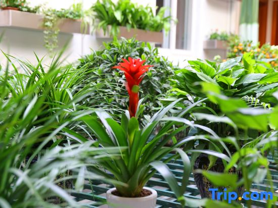 Wuzhen Flower House