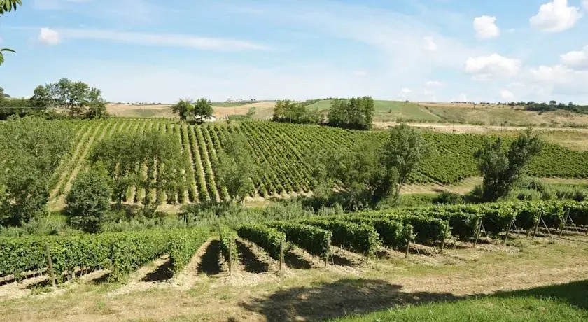 Terre di Varano