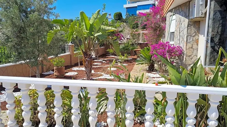 Camelia Villa