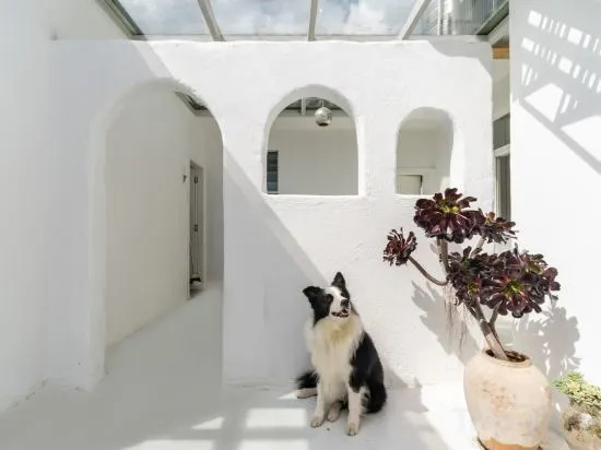 Dali Abu Inn