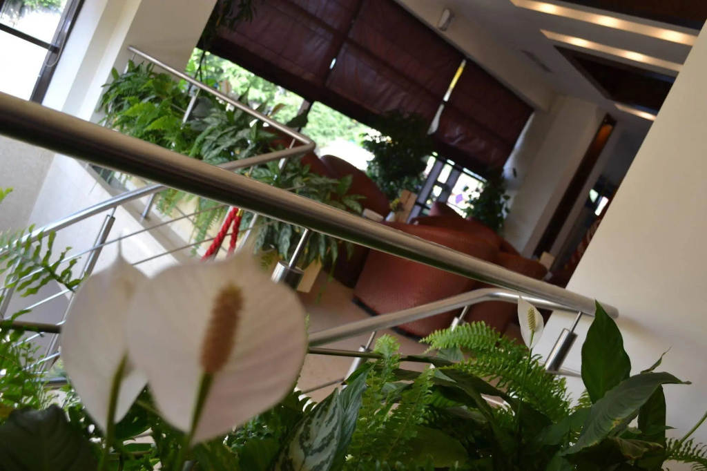Phoenicia Comfort Hotel