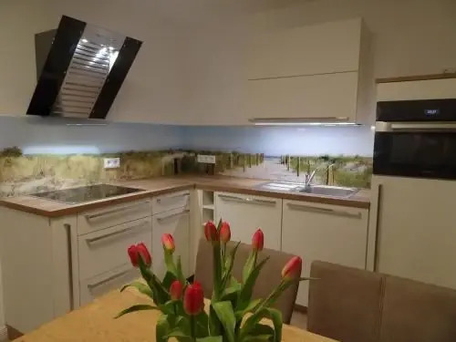 Rosenberg 13 Wohnung 1d DG re