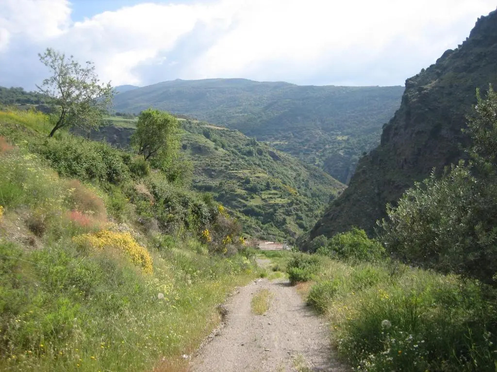 Cortijo Opazo
