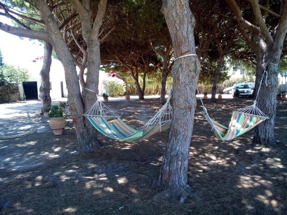 Villa Pinos Zahora - Beach Front Pine Trees