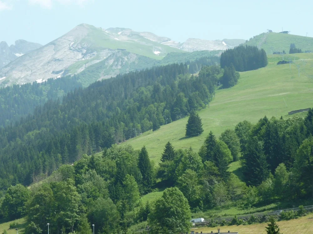 La Résidence