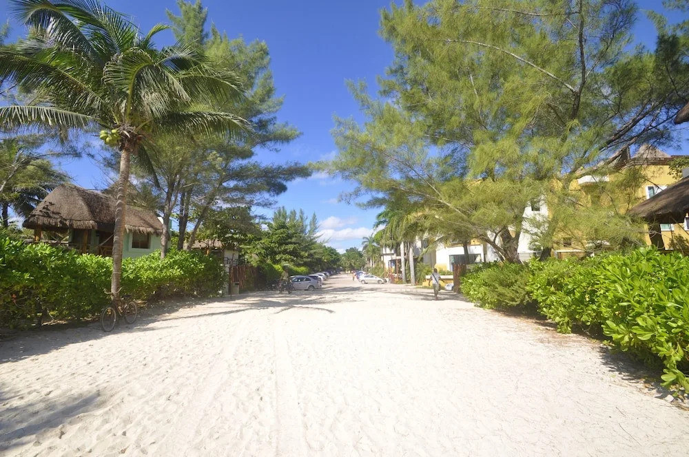 Terrazas Luxury Condos
