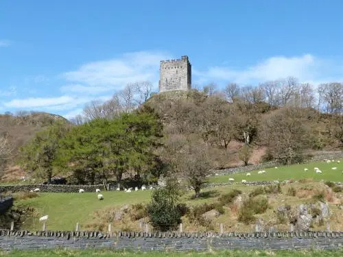 Holiday Home Caban Coed y Betws