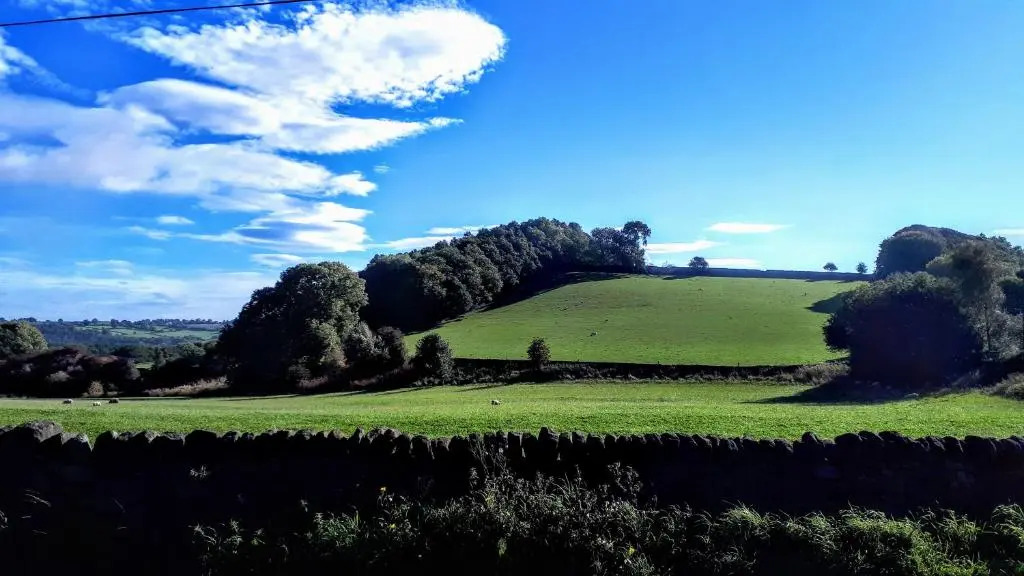 The Bulls Head