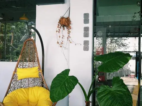 Yueting Nanshe Homestay