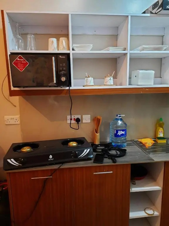 Entire seviced apartment
