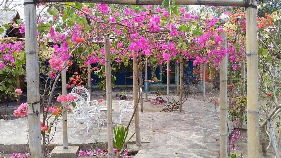 Elephant House and Bungalows Gili Air