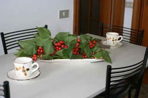 I Fiori di Pietra