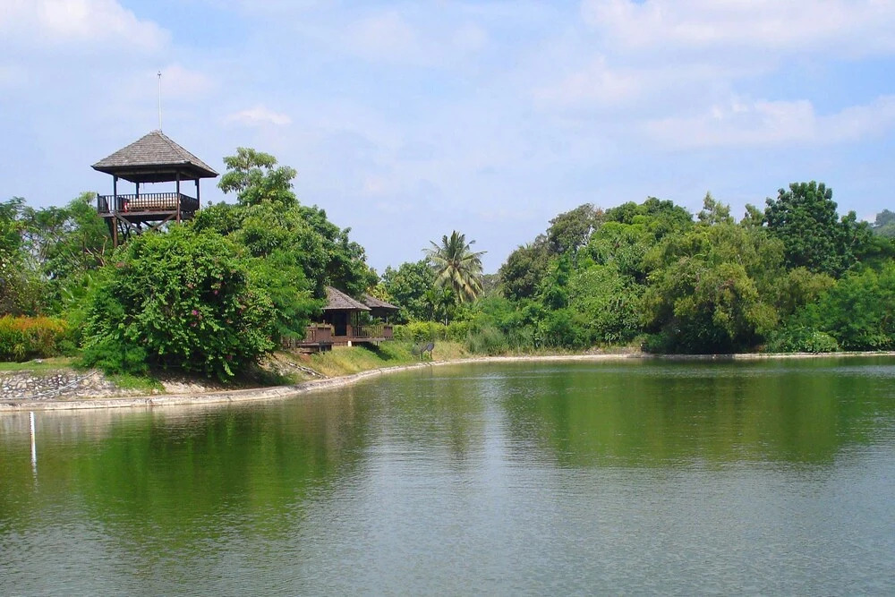 The Tamarind