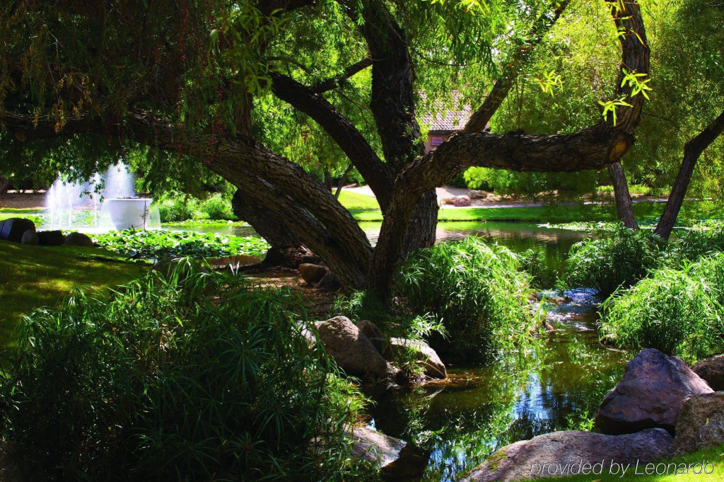 Fairmont Scottsdale Princess