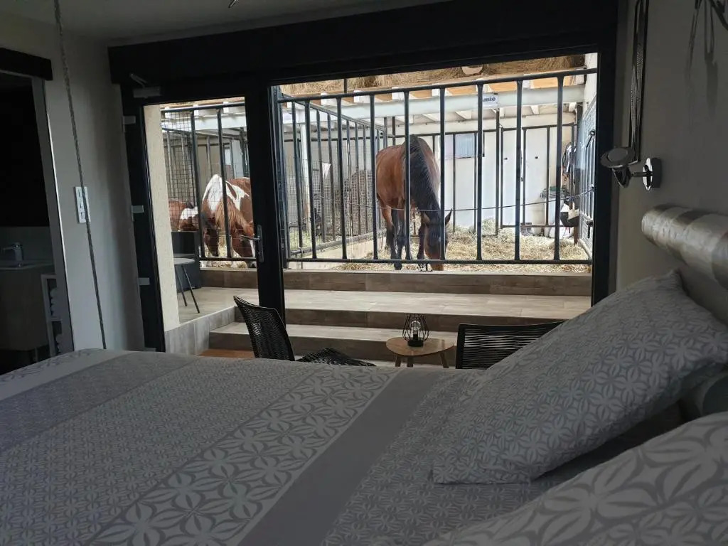 Equi-lodges