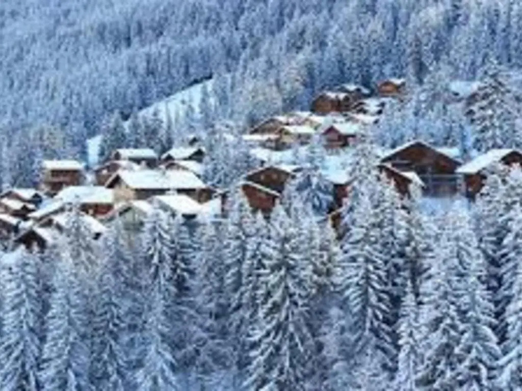 Chalet 6 chambres avec jacuzzi et parking, La Tania - FR-1-513-72