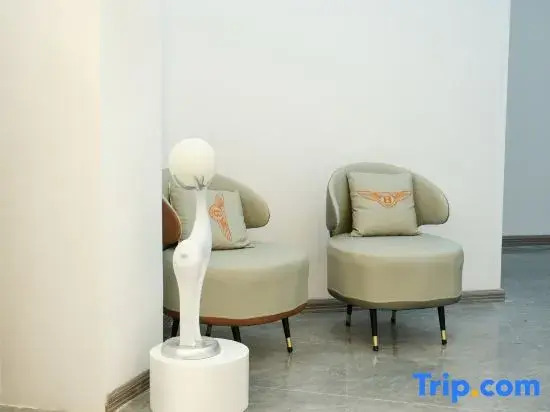 Shang 9 Hotel (Emei High-Speed Railway Station Dafo Chan Temple Tourism Area)