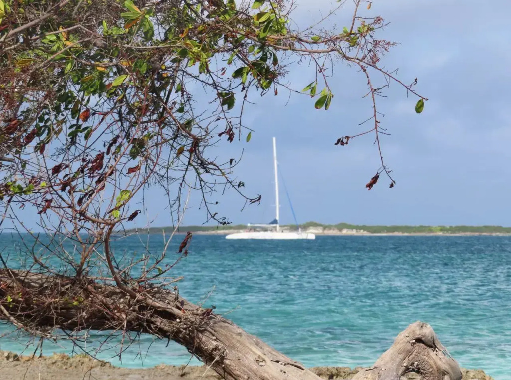 Angsana Cayo Santa MarA­a