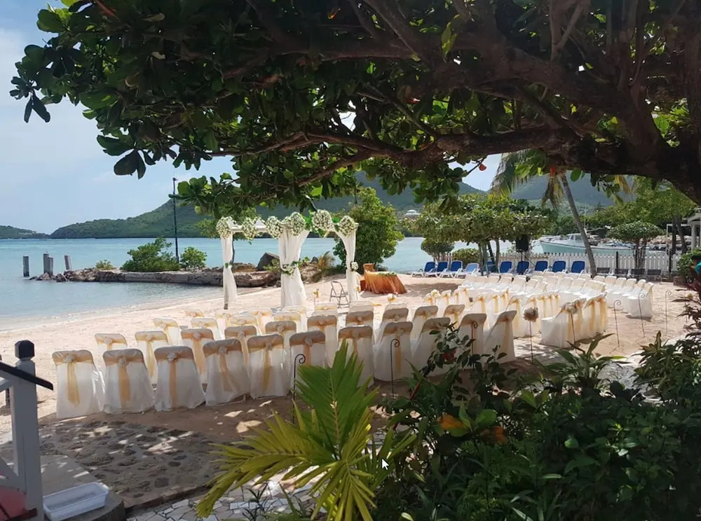 The Catamaran
