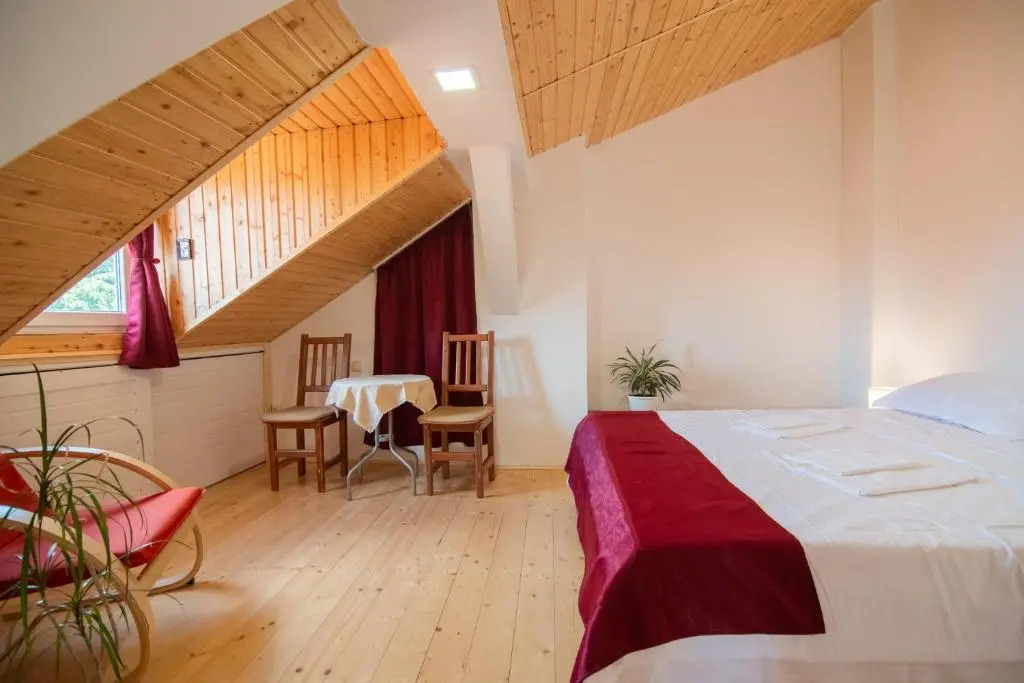 Bed&Wood in Center of Oradea 1