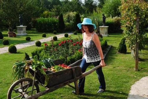Les insolites du grand logis