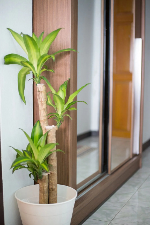 Arca Ratchaprarop Pratunam Apartment