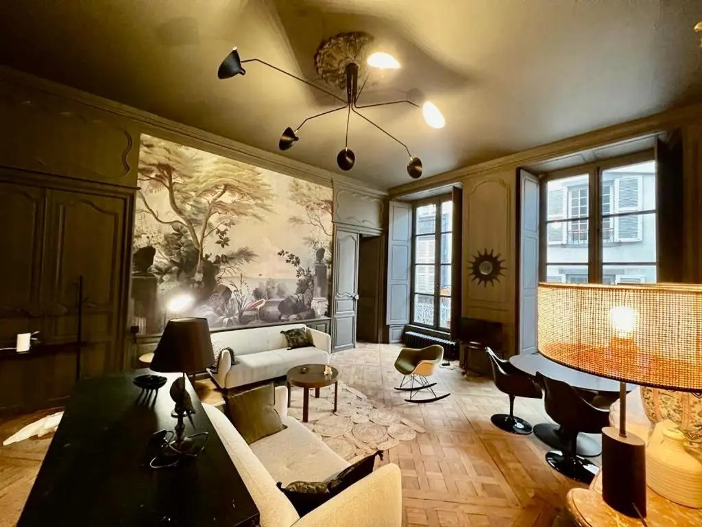 Splendide 2 pièces 65m2 Hôtel Particulier XVII ième siècle-Centre Historique Clermont-Ferrand