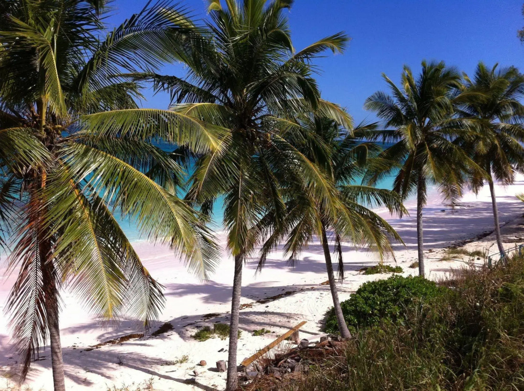 Seven Palms