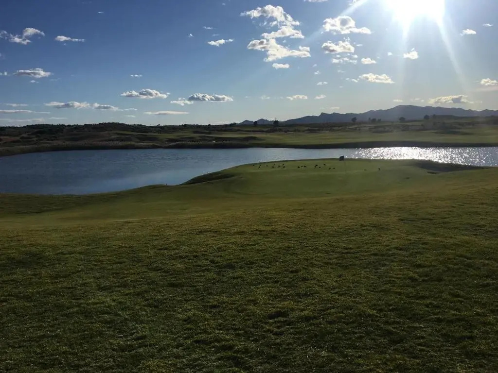 El Condado de Alhama Golf Resort Naranjos 7 house 589