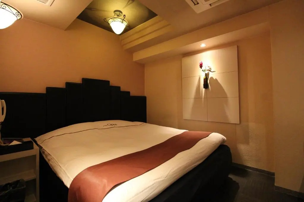 Hotel Opus