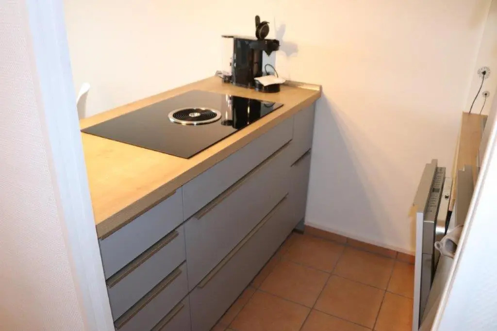 Ferienwohnung Harz Hohegeiß App 424
