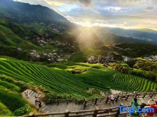 Longji Spring Inn