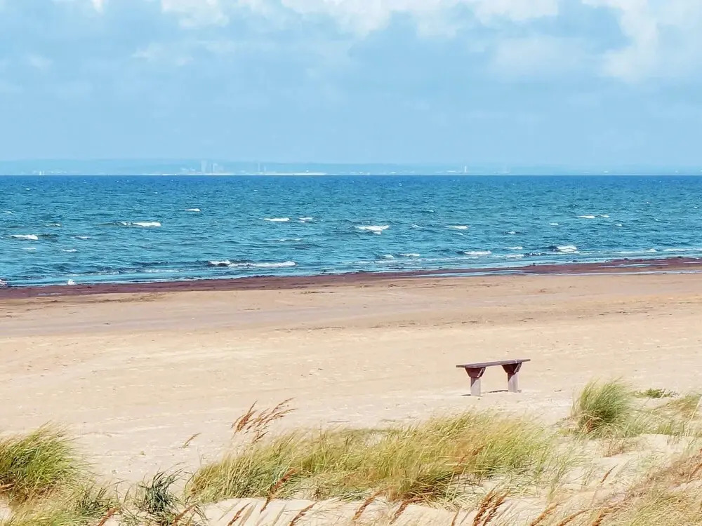 4 Star Holiday Home in Mellbystrand