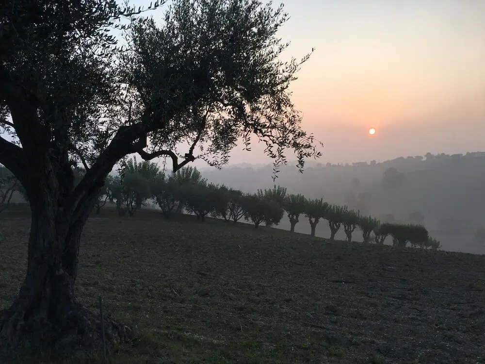 Ancient Farmhouse in Senigallia Near the Beach and the Historic Center