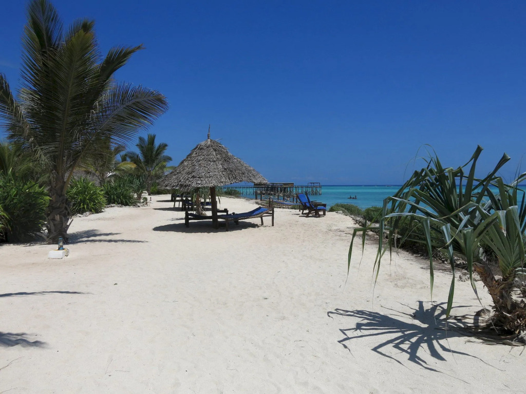 The Zanzibari