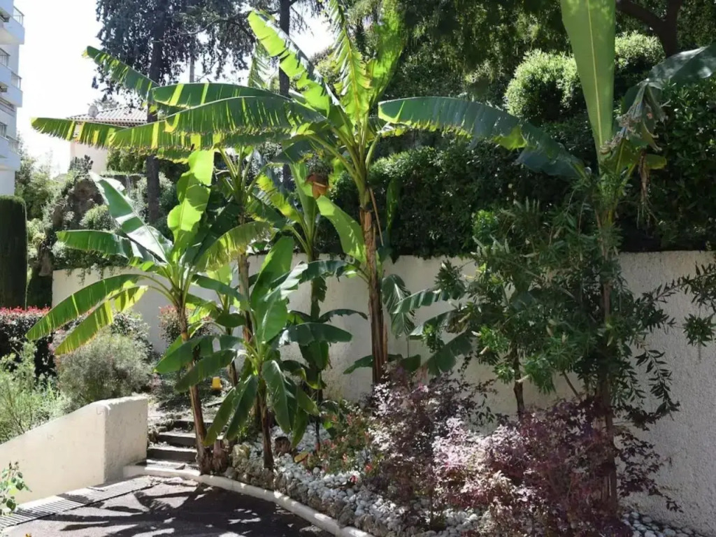 SEA VIEW - Splendid renovated 2 rooms - Golfe Juan