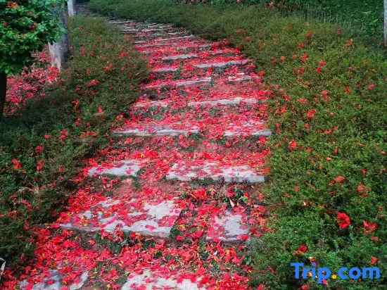 Xishuangbanna Rainforest Flower Valley Hotel (Gasa International Airport)