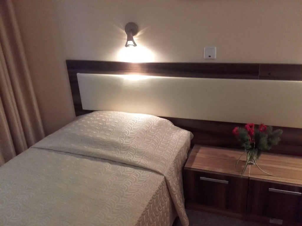 Hotel Bor