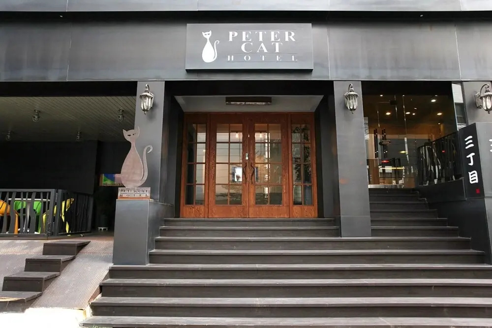 Petercat Hotel Shinchon