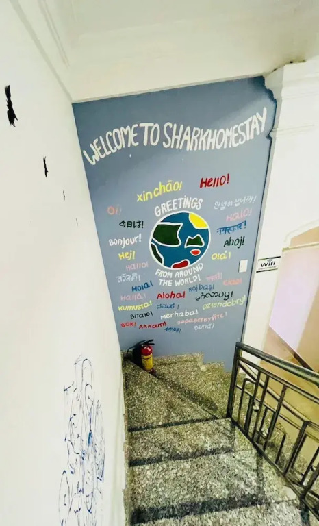 SHARK HOSTEL