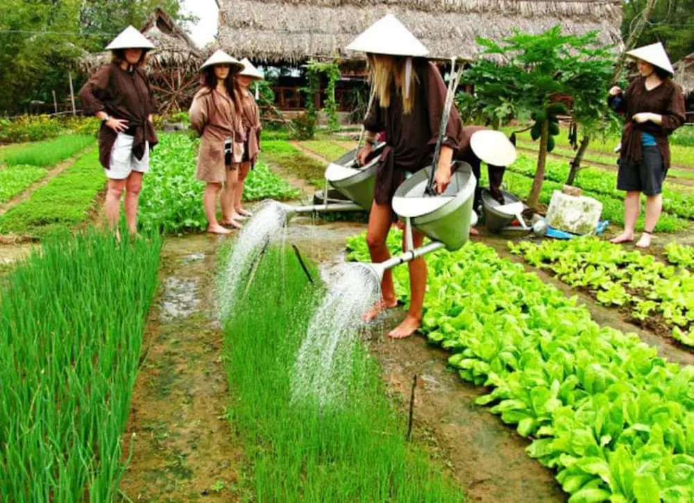 La Gai Homestay Hoi An