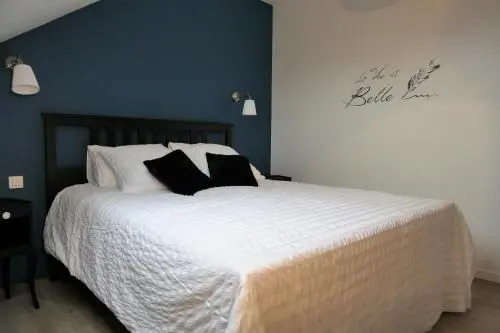 La maison Virginie appartements de 1 à 5 pers cosy central parking gratuit linge fibre proximité port lac canal piscine