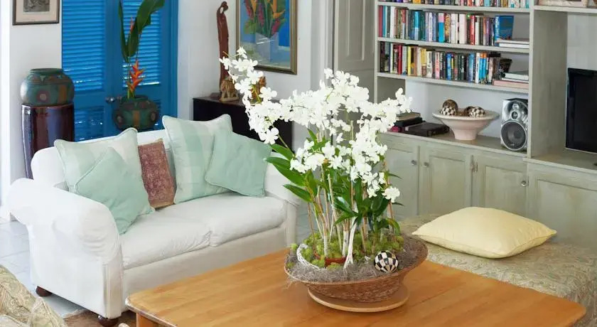 Lime Tree villa