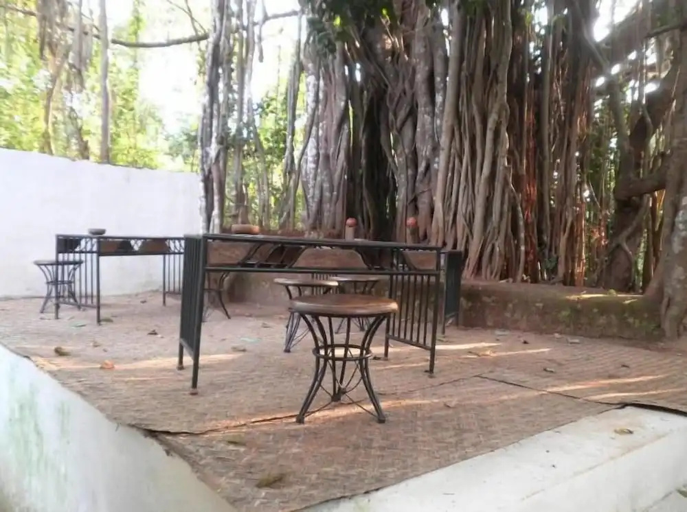 The Banyan Soul