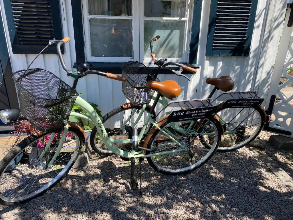 B&B Bland Ormbunkar Och Rosor