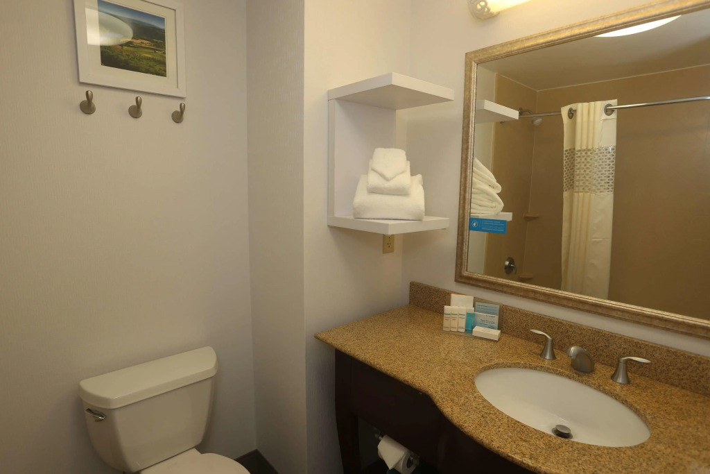 Hampton Inn Owego