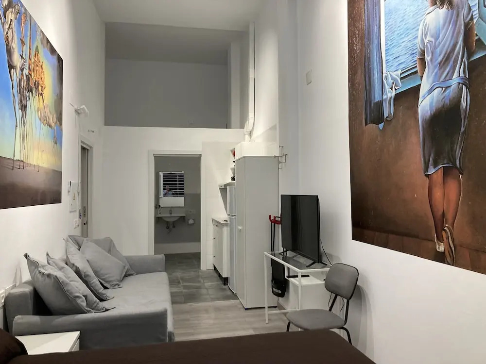 Golondrinas de Malaga "Apartamentos con mucho Arte" y terraza solarium en coliving