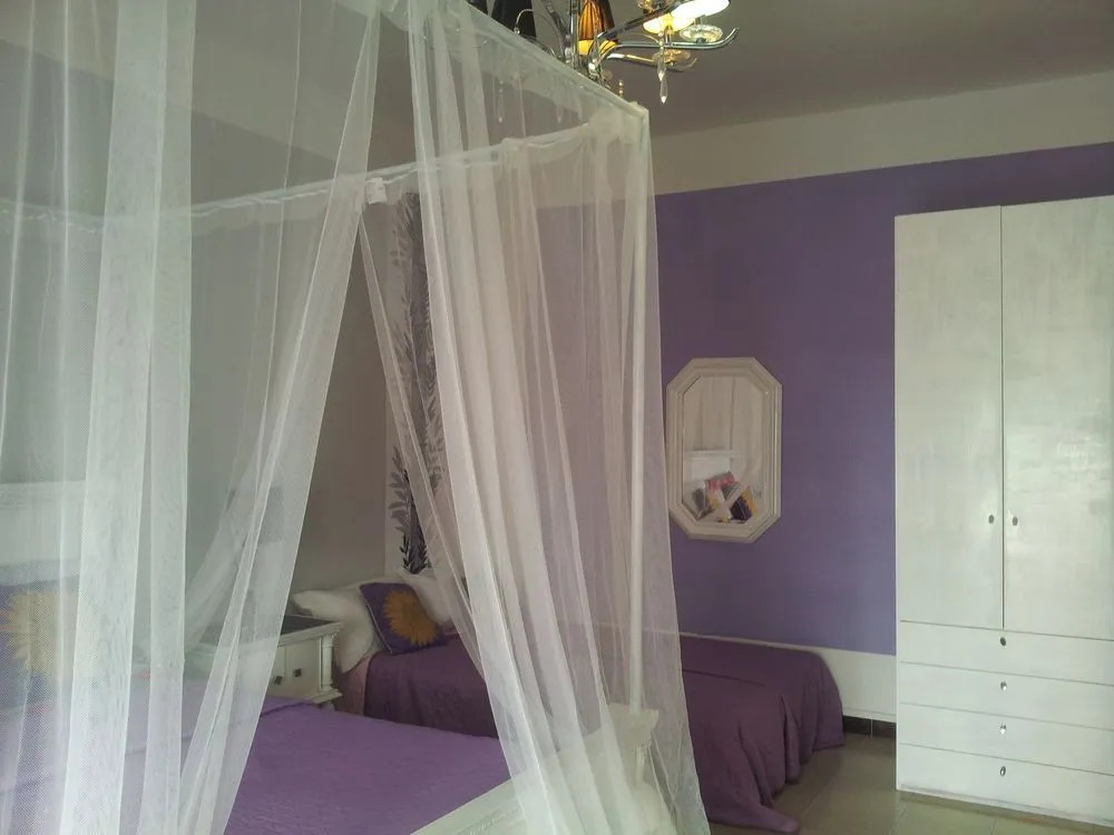 B&B Palese