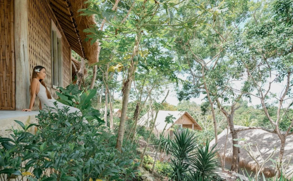 The Mesare Jungle Resort
