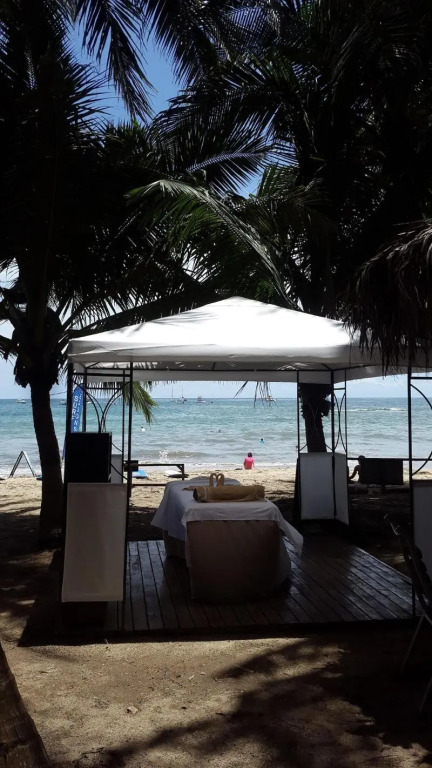 Hotel La Palapa